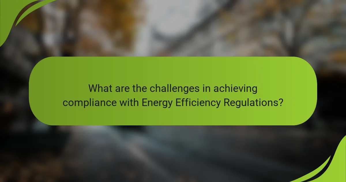 What are the challenges in achieving compliance with Energy Efficiency Regulations?