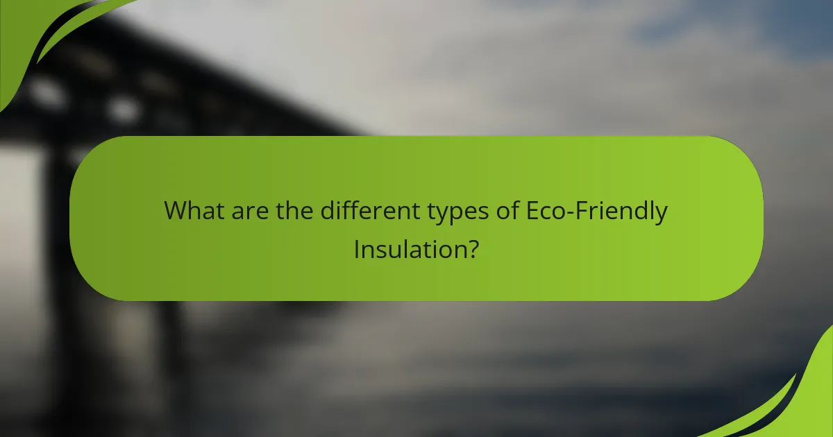 What are the different types of Eco-Friendly Insulation?
